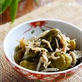 ＜夏の常備菜＞　しし唐としらすの煮浸し